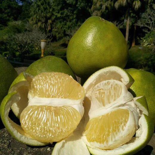 泰国白蜜柚2个装一个约2斤