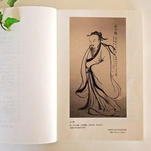 张真讲庄子 商品图1