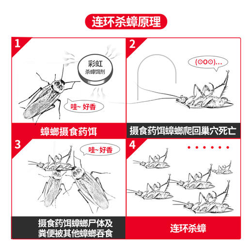 杀蟑专用 彩虹杀蟑饵剂(4个装)杀蟑螂药 5800(新旧包装随机发货） 商品图5