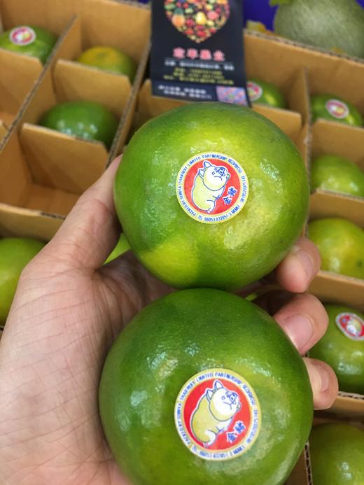 宏丰精选泰国青桔脆甜爽口橘子味浓郁