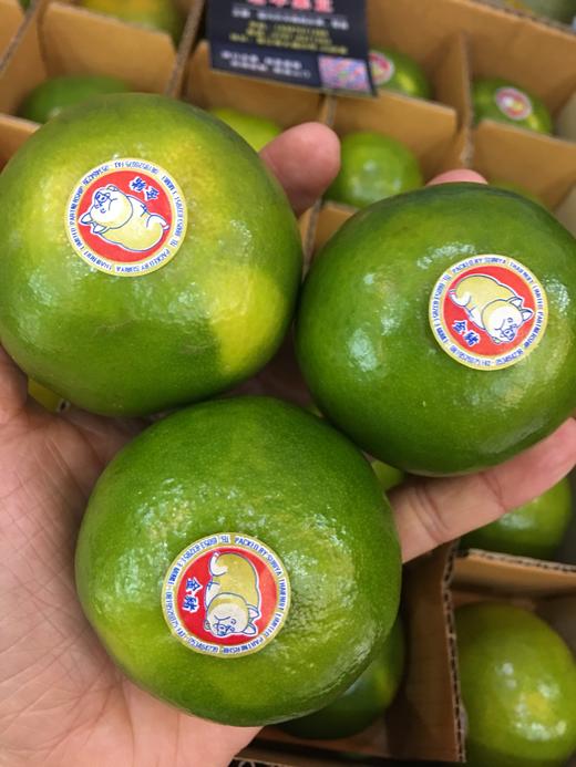 宏丰精选泰国青桔脆甜爽口橘子味浓郁