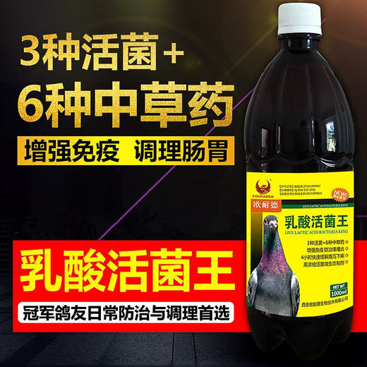 【乳酸活菌王】1000ml送粉剂100g，高浓缩活菌微生态制剂 （欧耐德） 商品图1