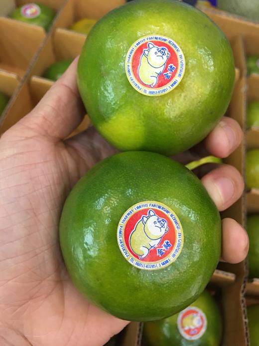 宏丰精选泰国青桔脆甜爽口橘子味浓郁