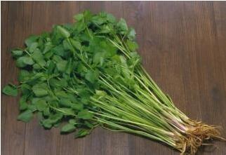 葛芹菜（8两） 商品图1