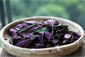 紫背天葵（6元/份三两）