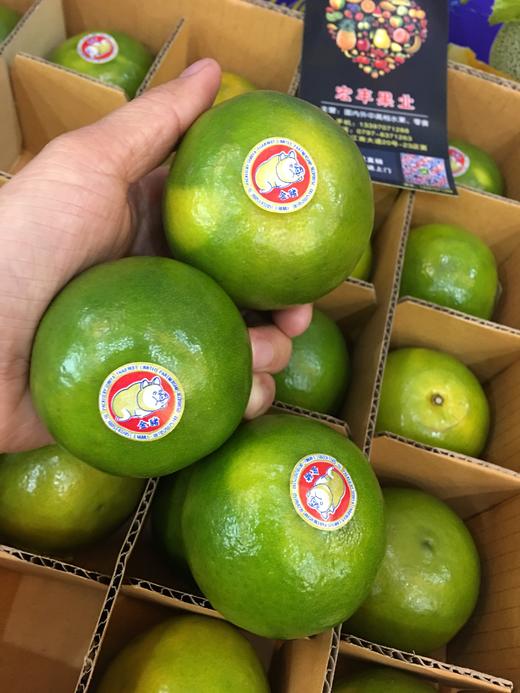 宏丰精选泰国青桔脆甜爽口橘子味浓郁