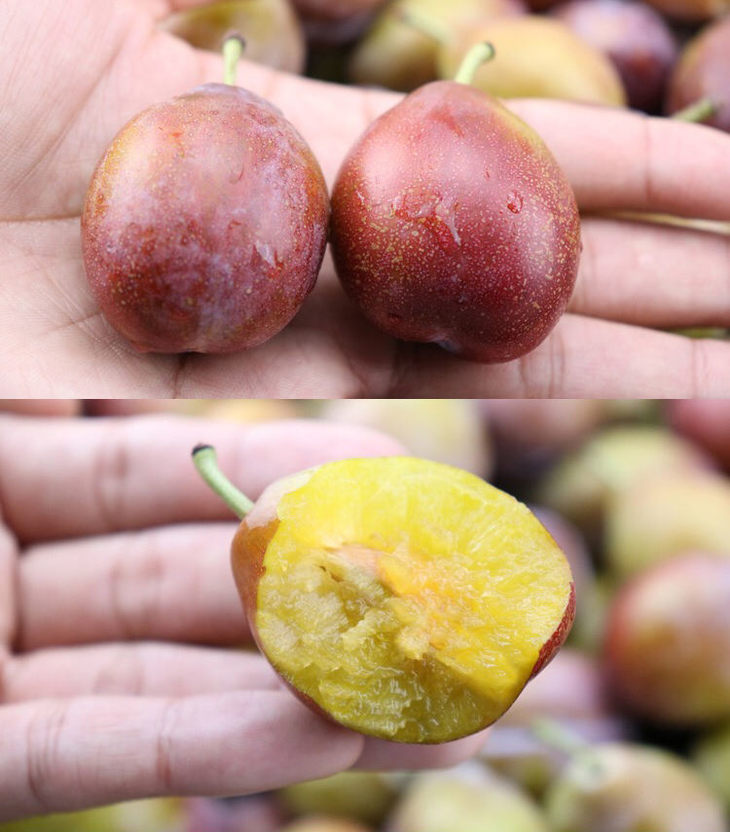 如果不想直接吃的话,完全可以做成西梅酱或者碾成西梅的泥作为宝宝的