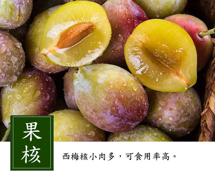 水果季降火凉果智利进口西梅收到等软糯酸甜爆汁