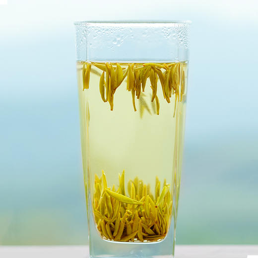 蒙顶黄芽特级2018明前头采纯手作甜香浓郁甘润沁人