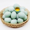 甄源|江苏绿壳蛋30枚约2.7-3斤土鸡蛋 商品缩略图4