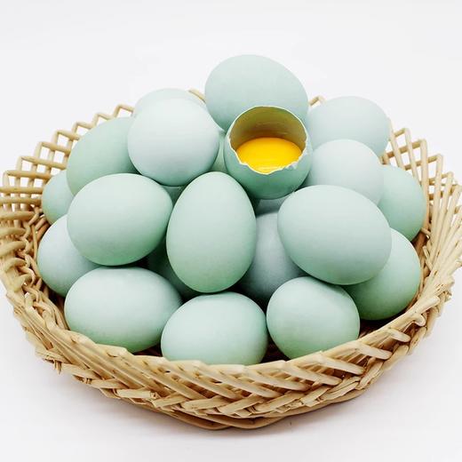 甄源|江苏绿壳蛋30枚约2.7-3斤土鸡蛋 商品图4