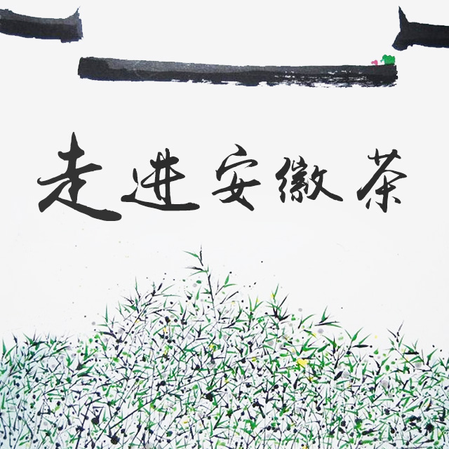 走进安徽茶——问山空中专题课堂