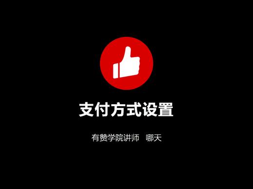 支付方式设置 商品图0