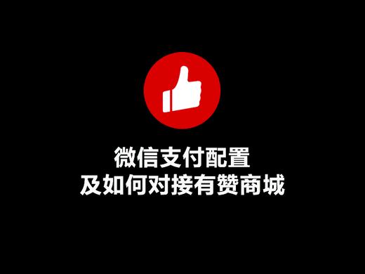 微信支付配置及如何对接有赞商城 商品图0