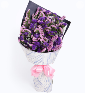 勿忘我鲜花  1383)