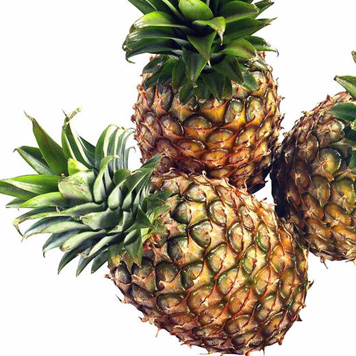 B 菲律宾菠萝 商品图0