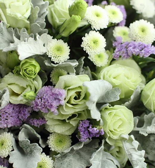 巨蟹座守护花--绿色洋桔梗1扎、银叶菊1扎，白色小雏菊3枝、浅紫色勿忘我8枝 蓝灰色绝色纸2张，米白色平面纸2张、香芋紫Logo缎带1米(1389) 商品图2