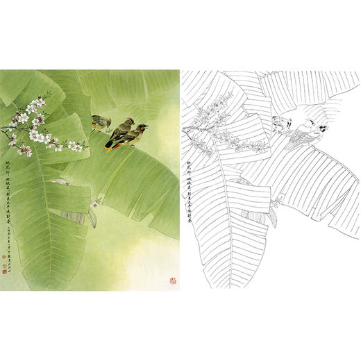 工笔花鸟白描底稿周中耀芭蕉桃花灼灼斗方小品册页zt33