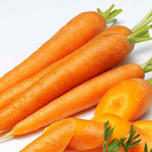 L 胡萝卜 商品图0