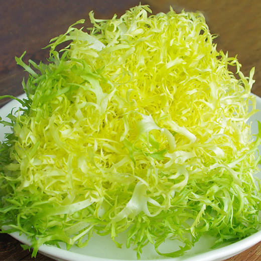 s九芽生菜苦菊生菜次日发货