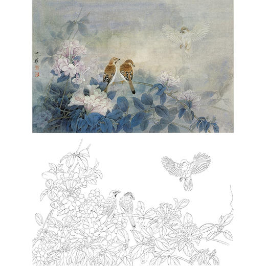 横幅工笔花鸟白描底稿-周中耀《此鸟飞从何处来》-多种白描尺寸可选-ZT29 商品图0
