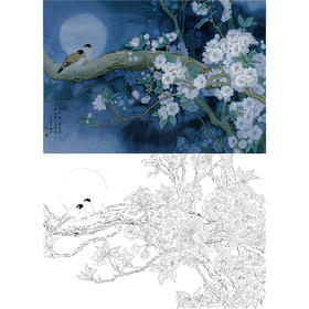 横幅工笔花鸟白描底稿-周中耀-樱花《月移花影入梦来》-多种白描尺寸可选-ZT32