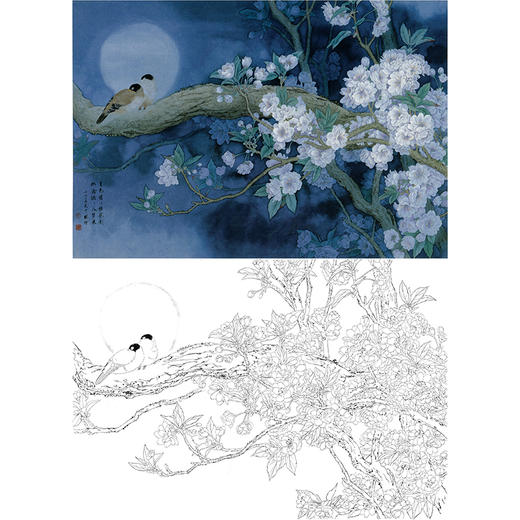 横幅工笔花鸟白描底稿-周中耀-樱花《月移花影入梦来》-多种白描尺寸可选-ZT32 商品图0