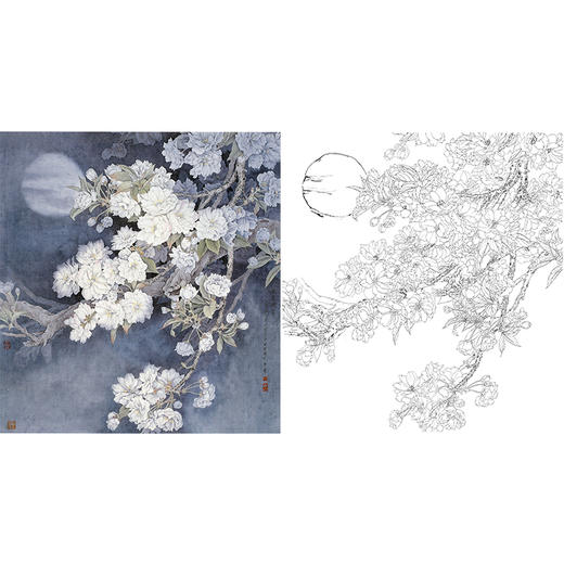 工笔花鸟白描底稿周中耀樱花玉质凝香斗方小品册页多种白描尺寸可选zt