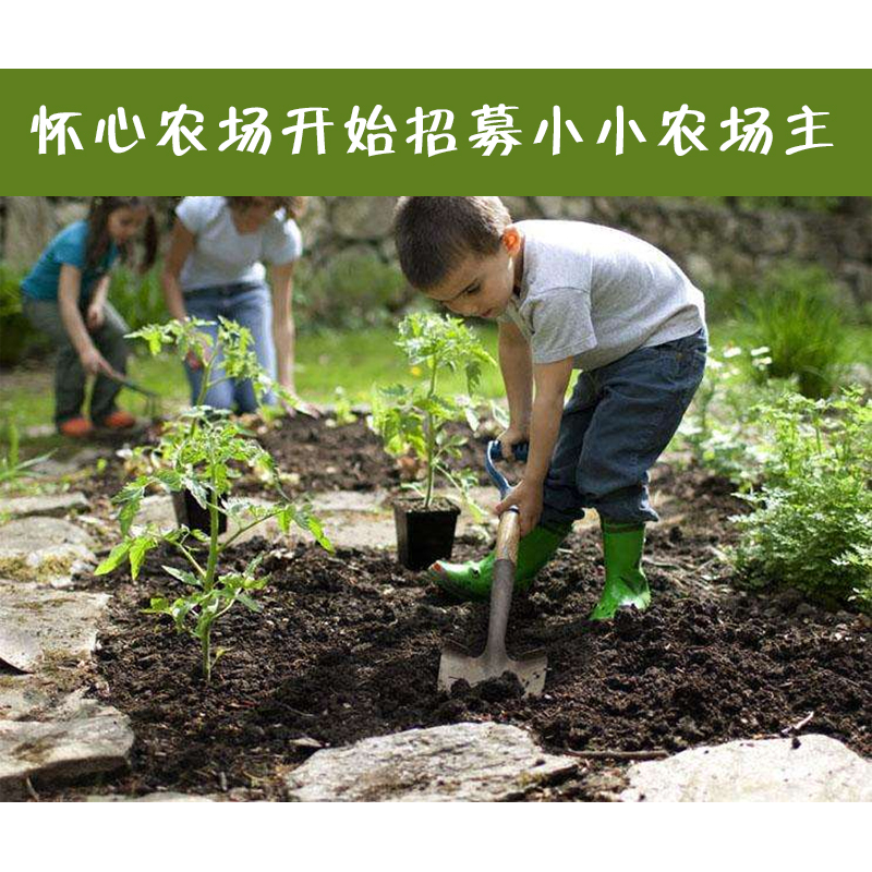 小小农场主招募