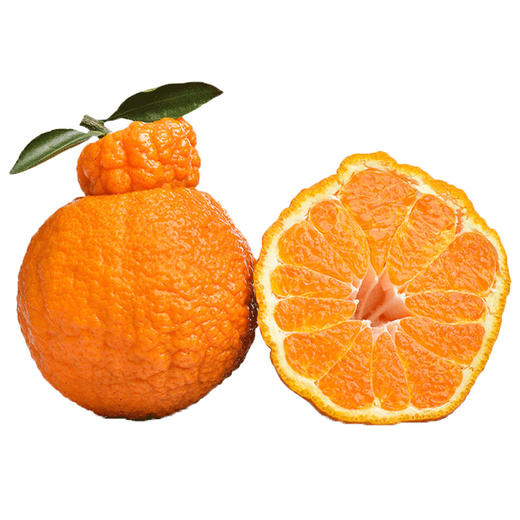 正宗四川丹棱不知火丑橘 现摘现发 柔软化渣约5斤装