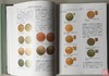 《中国钱币大辞典》总两册 商品缩略图9