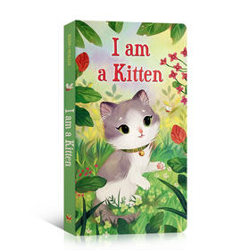 英文原版 I am a Kitten 我是一只小猫 bunny同系列 纸板书撕不烂启蒙儿童3-6岁早教学习英语书 亲子互动阅读经典睡前故事书