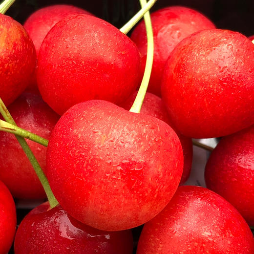 日本| 山形佐藤温室樱桃 果肉娇嫩入口即化 甜度达20度(1盒100g)