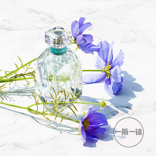 蒂芙尼 钻石同名女香 Tiffany & Co 分装 商品图5