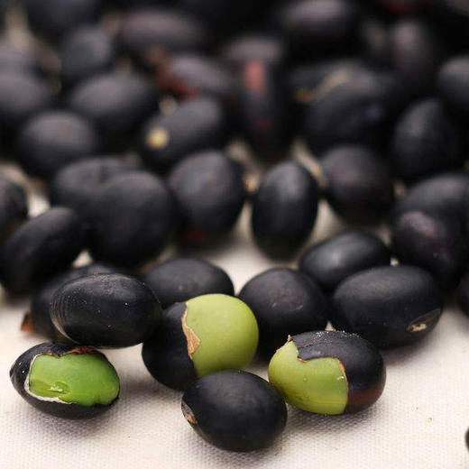 生态青仁黑豆黑龙江大庆悦意农场