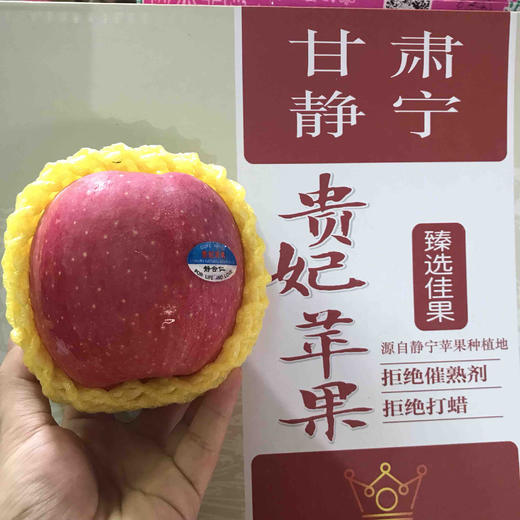 甘肃静宁贵妃苹果 甄选佳果1件净重7斤