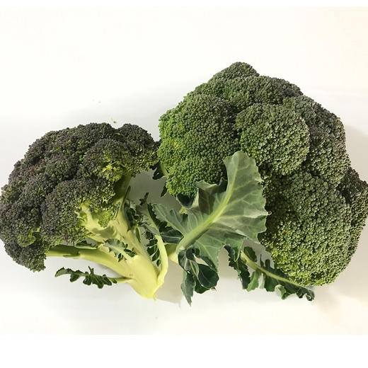 西兰花 商品图0