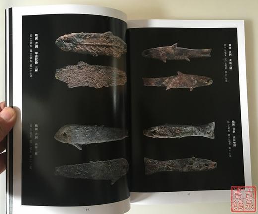 《鱼形币桥形币合集》全一册 商品图4
