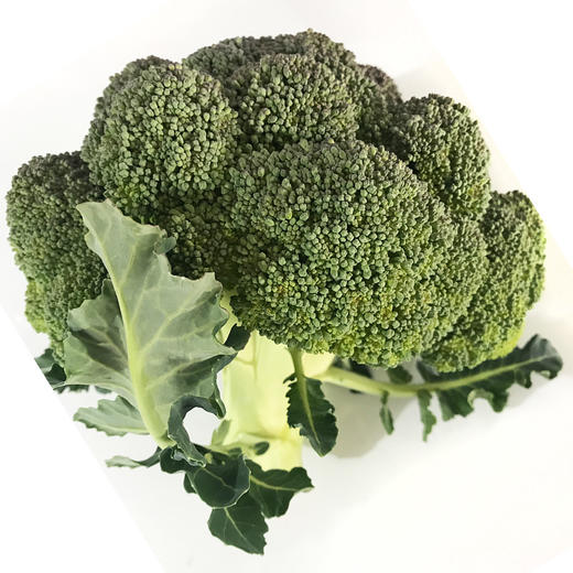西兰花 商品图1