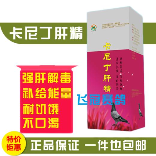 【卡尼丁肝精】强肝解毒 消脂供能 清除乳酸 防止疲劳（先锋） 商品图0