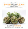 迷你泰国品种香水菠萝8斤装香甜新鲜水果 商品缩略图1
