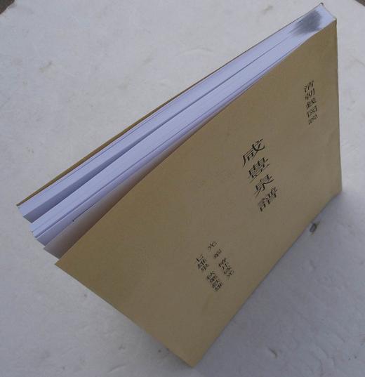 《咸丰泉谱》影印本 商品图9