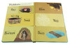 英文原版 隐藏的世界系列Hidden World Forest 儿童科谱启蒙翻翻书 词卡形式启蒙 2-4-6岁 商品缩略图1