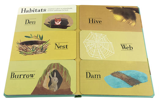 英文原版 隐藏的世界系列Hidden World Forest 儿童科谱启蒙翻翻书 词卡形式启蒙 2-4-6岁 商品图1