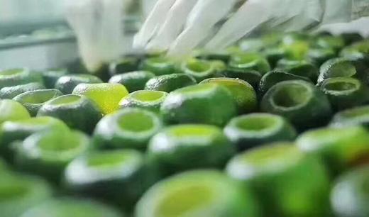 小青柑普洱茶 商品图11