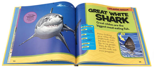 英文原版 美国国家地理少儿百科 Little Kids First Big Book of the Ocean启蒙5-6-7-8-9-10岁儿童认知海洋动物科普精装大开本 商品图1