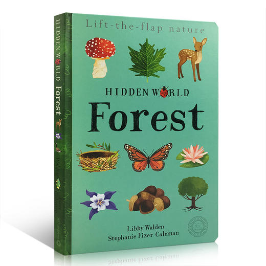 英文原版 隐藏的世界系列Hidden World Forest 儿童科谱启蒙翻翻书 词卡形式启蒙 2-4-6岁 商品图0