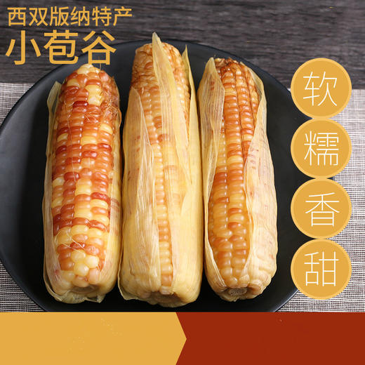 🌽西双版纳香糯小玉米🌽非转基因，既糯又甜的珍珠小玉米 商品图1