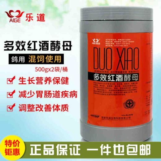 【多效红酒酵母】1000g*瓶益生活菌 啤酒酵母（乐道） 商品图0