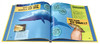 英文原版 Little Kids First Big Book of Why 国家地理精装大开本启蒙儿童百科书 探索世界彩色绘本图画书5-6-7-8-9-10岁阅读 商品缩略图3